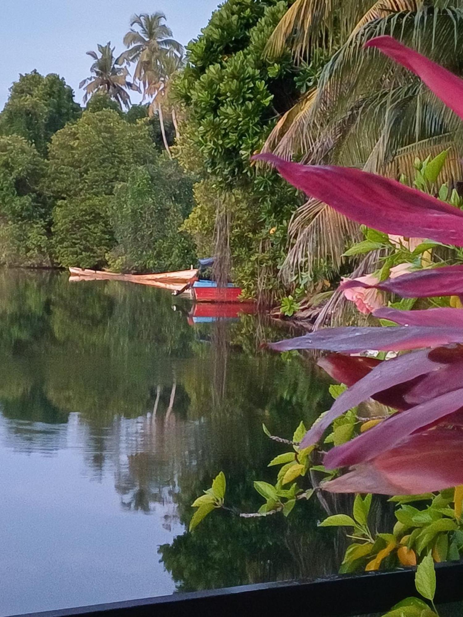 Villa River View Aluthgama Eksteriør bilde